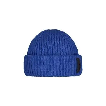 Čepice Zimní čepice Barts ALEXON BEANIE Blue velikost O/S