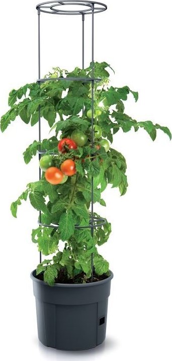 Prosperplast Květináč na pěstování rajčat TOMATO GROWER antracit 39,2cm x 39,2cm x 31,5cm