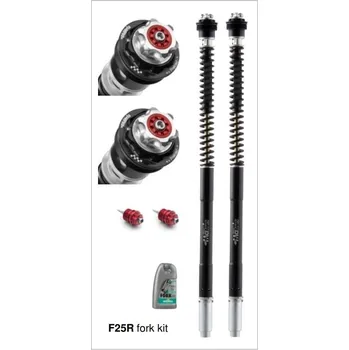 Matris Dampers Itálie Ducati 1198S 09/11 Náboje předních vidlic ''fork cartridge kit'' F25R