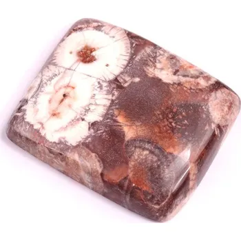 Korálek Kabošon Birds Eye Jasper č.2158 (28x24x6mm)