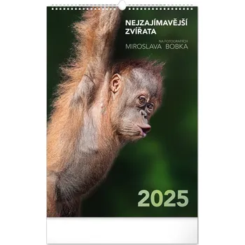 Kalendář Notique Nástěnný kalendář Nejzajímavější zvířata 2025