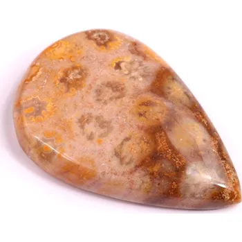 Přírodní kámen Kabošon Fossil Coral č.2082 (39x26x7mm)
