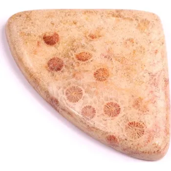 Přírodní kámen Kabošon Fossil Coral č.2072 (41x28x5mm)