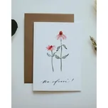 Be Nice EKO Přání Na zdraví