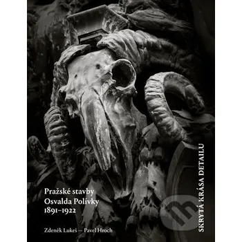 Kniha Skrytá krása detailu - Zdeněk Lukeš, Pavel Hroch Argo