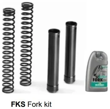 Matris Dampers Itálie Ducati MONSTER 821 Stealth 19/20 Náboje předních vidlic ''fork cartridge kit'' FKS