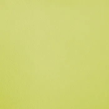 MAYER Židle s nastavitelnými zády 1255G Clean, lima limetková