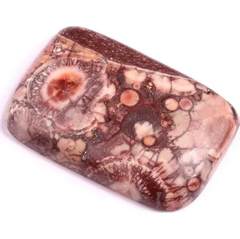 Korálek Kabošon Birds Eye Jasper č.2150 (30x20x6mm)
