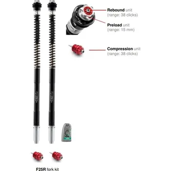 Matris Dampers Itálie Ducati DIAVEL 1200 Strada 10/14 Náboje předních vidlic ''fork cartridge kit'' F25R