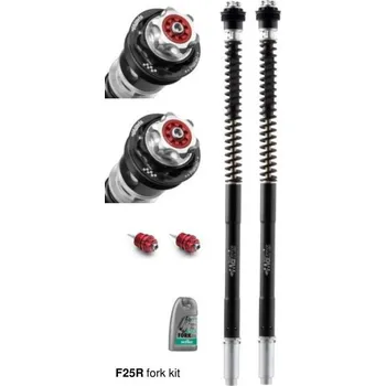 Matris Dampers Itálie Ducati MONSTER S4R (998) 06/08 Náboje předních vidlic ''fork cartridge kit'' F25R
