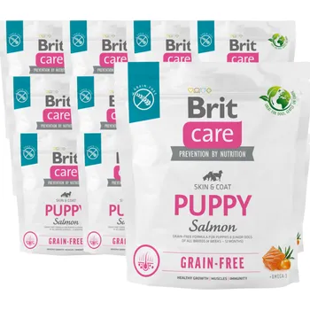 BRIT CARE Dog Grain-free Puppy Salmon 12x1kg