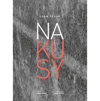 Poezie Na kusy - Ivan Tesař