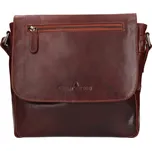 Pánská kožená taška přes rameno Greenwood Dirk - hnědá