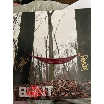 Zahraniční hudba LP Die Hänger: Bunt 2024