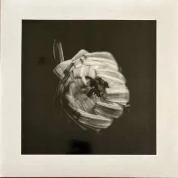 Zahraniční hudba 2LP A Swarm Of The Sun: An Empire CLR | LTD 2024 Coloured Transparent White Vinyl Limited Indie Edition