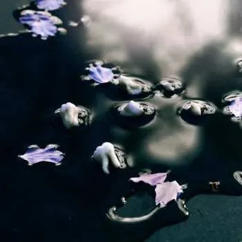 Zahraniční hudba LP Zuli: Lambda 2024