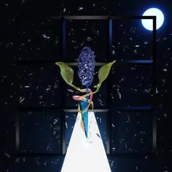 Zahraniční hudba LP Darian Donovan Thomas: A Room With Many Doors: Night 2025