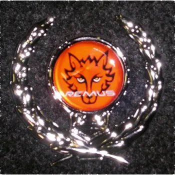 Samolepicí dekorace na vozidlo Remus autoznak