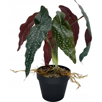 umělá květina Diefenbachie Umělé květy JAKO ŽIVÁ 55 cm