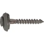 Šroub klemp. GUNNEX INOX S15 T20 4,5×45 mm RAL 9006 250 ks