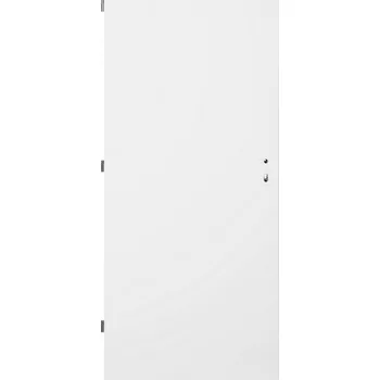 Vchodové dveře Dveře ocelové plné protipožární levé šířka 900 mm bílé