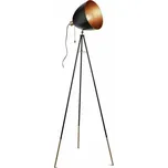 Svítidlo E27 Eglo Chester 60 W