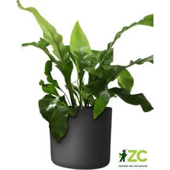 Květináč Obal Lora - antracit 30 cm