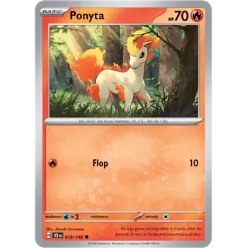 Volný čas Ponyta (SCR 019)