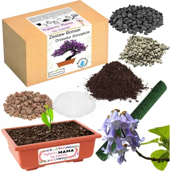 Obraz Dárek ke Dni matek, stromek štěstí, bonsaj, dárek k svátek matek, růže