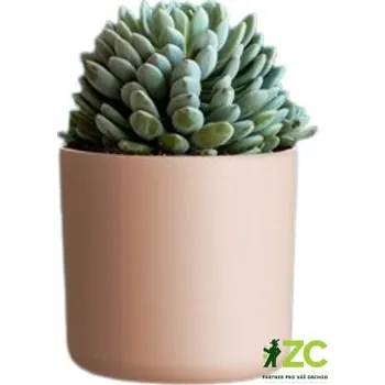 Květináč Obal Lora - bledě růžová 14 cm