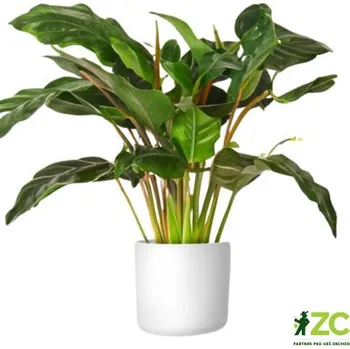 Květináč Obal Lora - bílá 14 cm