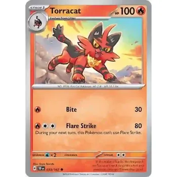 Volný čas Torracat (TEF 033)