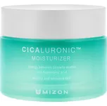 Mizon Hydratační pleťový krém pro suchou a citlivou pleť Cicaluronic (Moisturizer) 50 ml + 2 měsíce na vrácení zboží