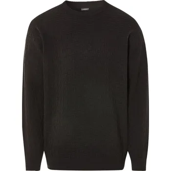 Pánský svetr LIVERGY® Pánský pletený svetr (L(52/54), černá)