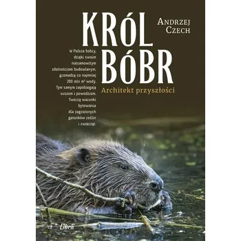 Příroda Król Bóbr - Andrzej Czech