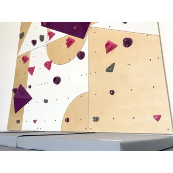 Úchyt pro horolezeckou stěnu Pentagon BLOCKids Barva úchytů: Růžová