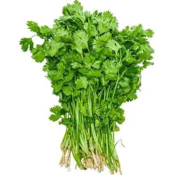 Koření Koriandr s kořínky, svazek, Asie 100 g