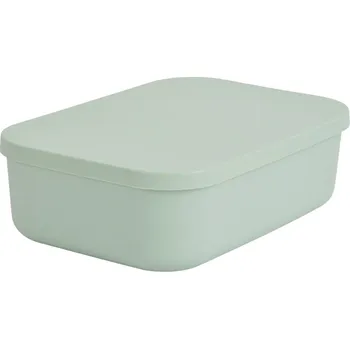 Úložný box Světle zelený plastový úložný box s víkem 24x18x8 cm – Homéa ID_1696430