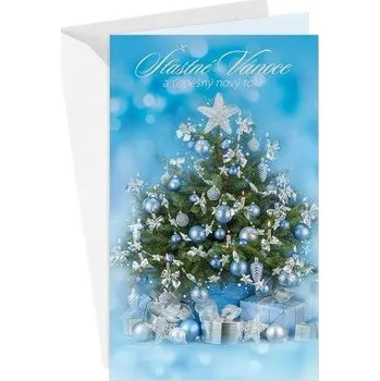 ARGUS Vánoční a novoroční přání 11-6545c