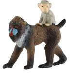ZOOted Mandril rýholící samice s…