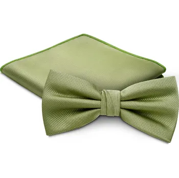 Kravata Sada světle zeleného předvázaného motýlka a kapesníčku do saka - Trendhim