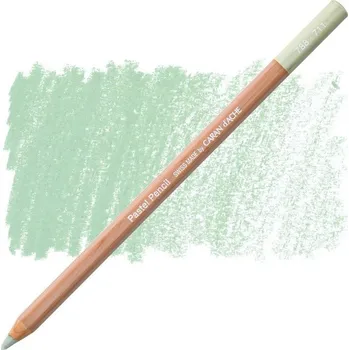 CARAN D'ACHE Umělecký pastel v tužce CARAN D'ACHE, 711 earth green