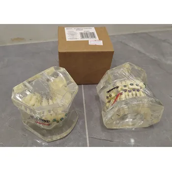 Gadget VERK GROUP Stomatologický modelový aparát - Ideální pomůcka pro dentální výuku a praxi