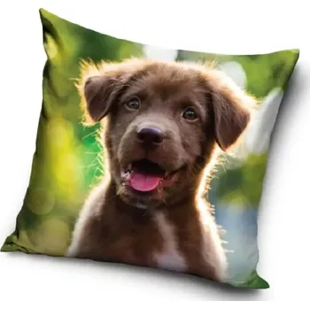 Povlak na dekorativní polštářek Povlak na polštářek Šteňátko malý Nezbeda