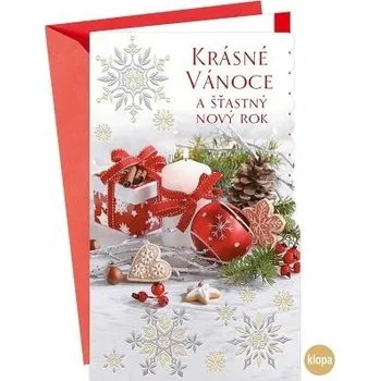 ARGUS Vánoční přání s kapsou na peníze 11-6524c