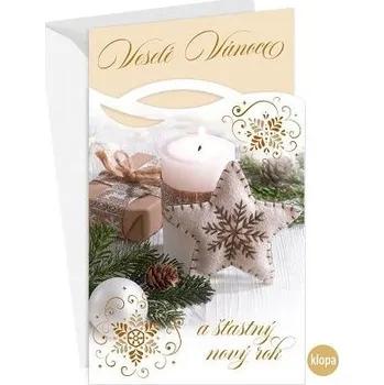 ARGUS Vánoční přání s kapsou na peníze 11-6519c