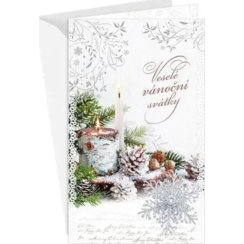 ARGUS Vánoční přání 11-6549c