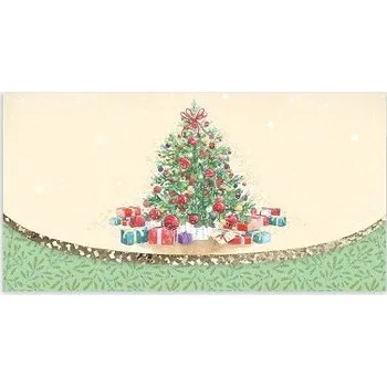 Obálka ARGUS Obálka na voucher vánoční 91-6010