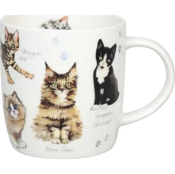 Druhy koček - hrnek