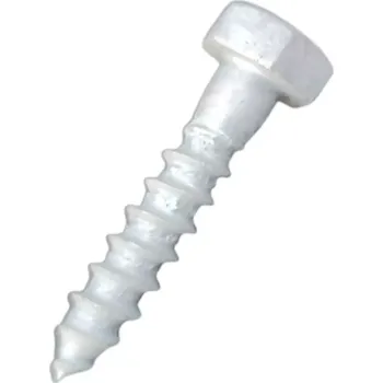 Vrut Vrut do dř.6HR TZN 10,0x050